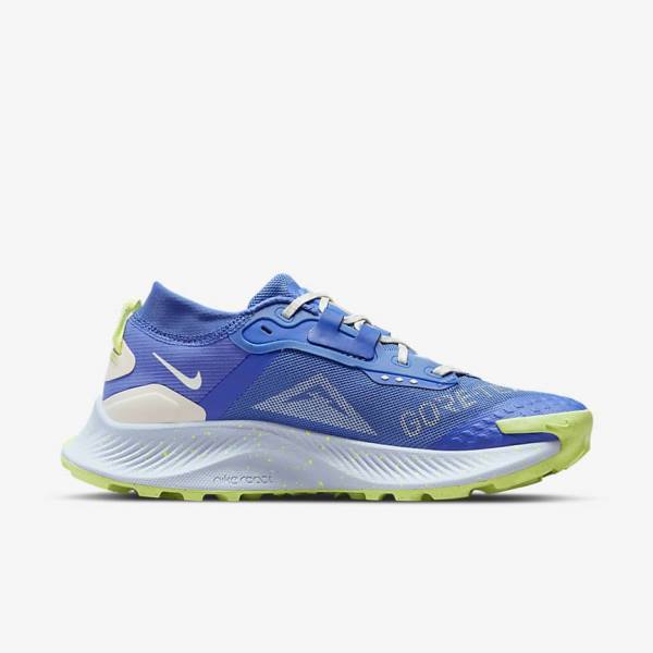 Zapatillas Running Nike Pegasus Trail 3 GORE-TEX Impermeables Trail Mujer Azules Marrones Gris | NK086XJD