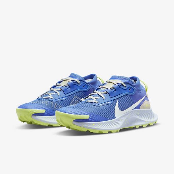 Zapatillas Running Nike Pegasus Trail 3 GORE-TEX Impermeables Trail Mujer Azules Marrones Gris | NK086XJD