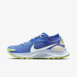 Zapatillas Running Nike Pegasus Trail 3 GORE-TEX Impermeables Trail Mujer Azules Marrones Gris | NK086XJD